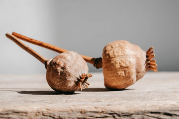 Dry opium poppy on wooden surface. Copy, empty space for text