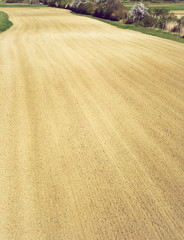 Feld Acker im Frühling