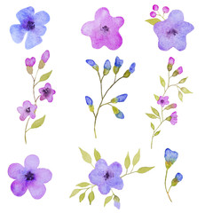 Fototapeta na wymiar Set of 9 flowers elements. Hand drawn watercolor illustration 