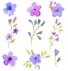Fototapeta premium Set of 9 flowers elements. Hand drawn watercolor illustration 