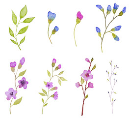 Obraz na płótnie Canvas Set of flowers elements. Hand drawn watercolor illustration 