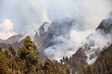 Forest fire in the mountains. Java Island, Indonesia. Natural fire in the mountains.