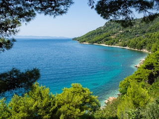 Paisaje idílico enmarcado en verde en la costa croata, en verano de 2019