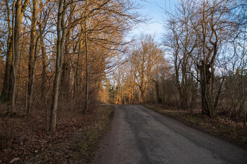 Landschaft im Frühling