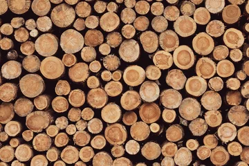 Möbelaufkleber Holzmaserstämme im Wald wurden gefällt © Adam