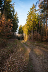 Fototapeta premium Landschaft im Frühling