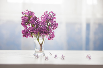 lilac flowers twig in glass