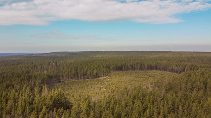 Aerial view of the Vuoksi river, the forest and the settlement in autumn day, Losevo, Leningrad...