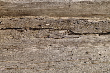 Wooden texture pest spoiled old building