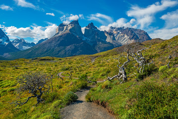 On the road on a path for backpackers in the Torres del Paine national park in Patagonia, Chile.
