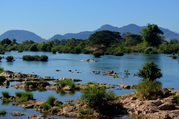Si Phan Don is dotted with numerous islands, half of which are submerged when the Mekong River is in flood