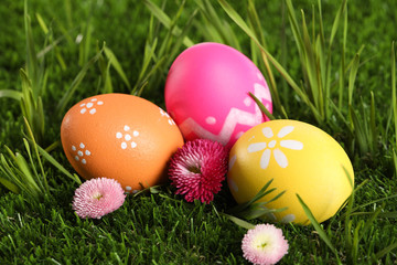 Colorful Easter eggs and daisy flowers in green grass, closeup
