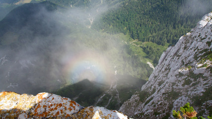 OLYMPUS DIGITAL CAMERA © gegedei