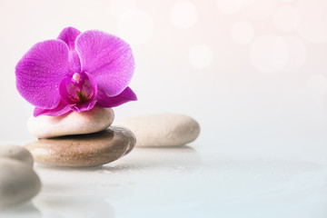 Fototapeta na wymiar Wellness, relax, massage and wellbeing concept. Spa stones and orchid flower over white background.
