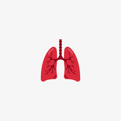 Lungs flat icon. Vector thin pictogram of human internal organ.