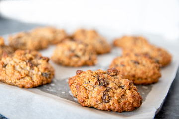 A fresh batch of oven baked oat biscuits with raisins