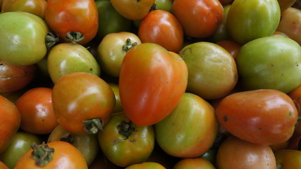 fresh vegetables. basket of tomato vegetables. close up