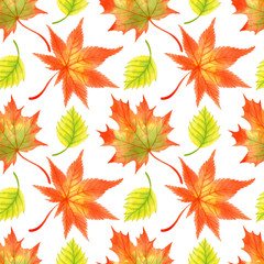 Naklejka na ściany i meble Seamless pattern with watercolor autumn maple and birch leaves. Perfect for greetings, invitations, manufacture wrapping paper, textile and web design.