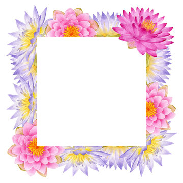 Summer season frame with hand drawn watercolor of colorful water lily. Water lily floral botanical flowers.