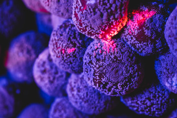 Mold cherry macro in purple light