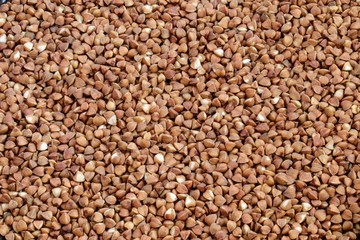 buckwheat groats background