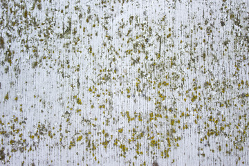 Wood cracked paint texture, background