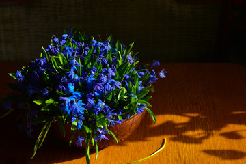 Bouquet of snowdrops in a ceramic vase on a wooden table in the morning light of the sun