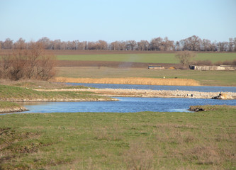 River and meadow with grass in spring day. Landscape with pond against blue sky background.