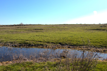 River and meadow with green grass in spring sunny day.Landscape with lake against blue sky background.