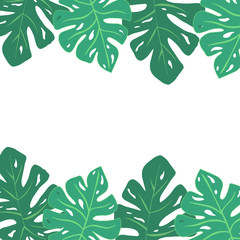 Fototapeta premium Frame with leaves vector illustration isolated on white background. Monstera Leaves. Tropical leaf. Doodle style. With place for text.