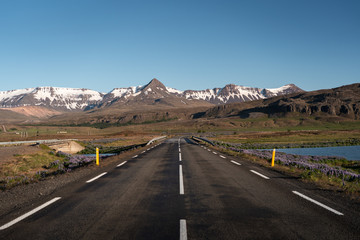 Fototapeta na wymiar Road in Iceland leading to the mountains