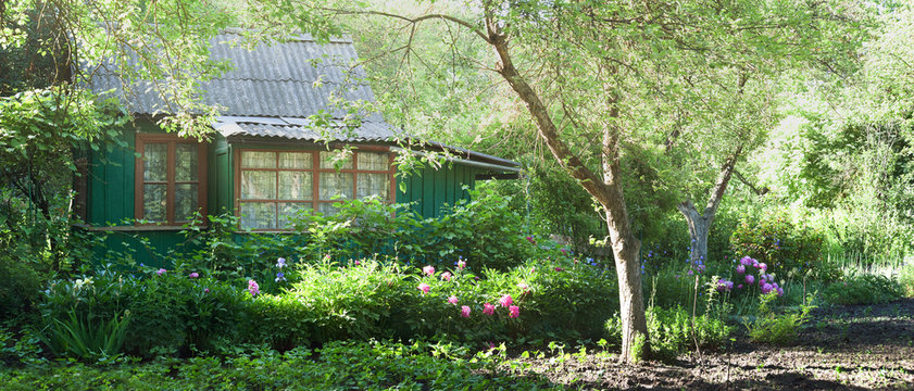 Gardener's wooden house in spring time with pions flowers