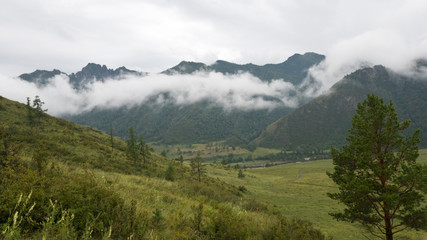 Beautiful cloudy Altai landscape: low-flying clouds against the lush foliage of green grassy mountains
