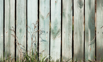 Green grass on a background of old rustic style fence.