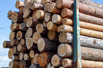 A pile of wooden logs stacked together