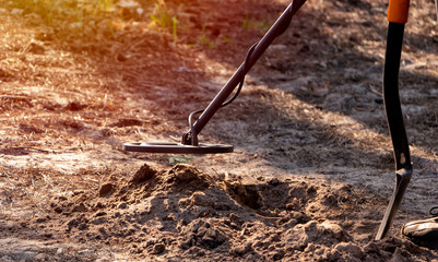 A man scans a dug hole in the forest with a metal detector and a shovel in his hands