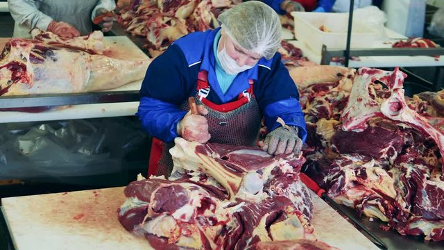 Large piece of meat is getting butchered by a factory worker