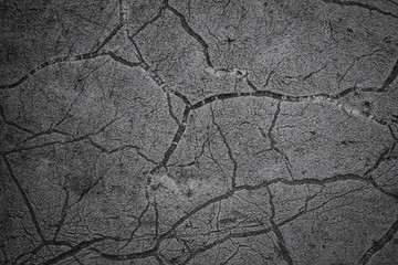 The background is black concrete with cracked lines, the texture of the concrete