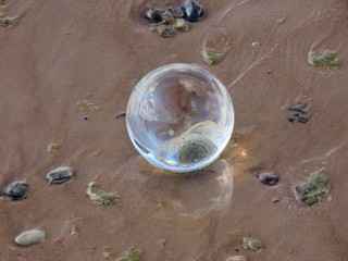 Crystal ball on beach sand