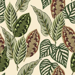 Wallpaper murals Beige Tropical floral foliage palm leaves seamless pattern beige background. Exotic jungle wallpaper.