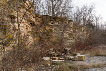 Niagara Escarpment dolomite, Silurian outcrops, High Cliff State Park, WI.