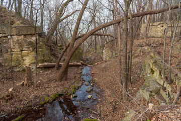 Niagara Escarpment dolomite, Silurian outcrops, High Cliff State Park, WI.