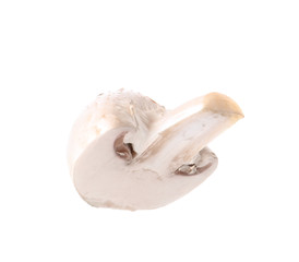 Piece of fresh champignon mushroom isolated on white