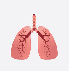 Lung Logo Template vector symbol nature. vector human lungs flat icon isolated on white background. lung organ anatomy symbol for health and medical illustrations.