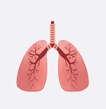 Lung Logo Template vector symbol nature. vector human lungs flat icon isolated on white background. lung organ anatomy symbol for health and medical illustrations.