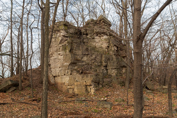 Niagara Escarpment dolomite, Silurian outcrops, High Cliff State Park, WI.