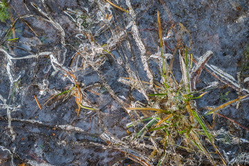 The water is frozen in the mth. Ice with grass.