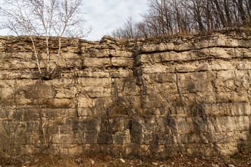 Niagara Escarpment dolomite, Silurian outcrops, High Cliff State Park, WI.