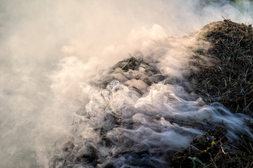 creeping white smoke filling background