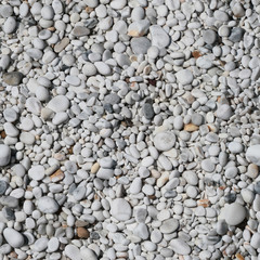 Seamless texture of pebble beach. Marina di Pisa. Italy.